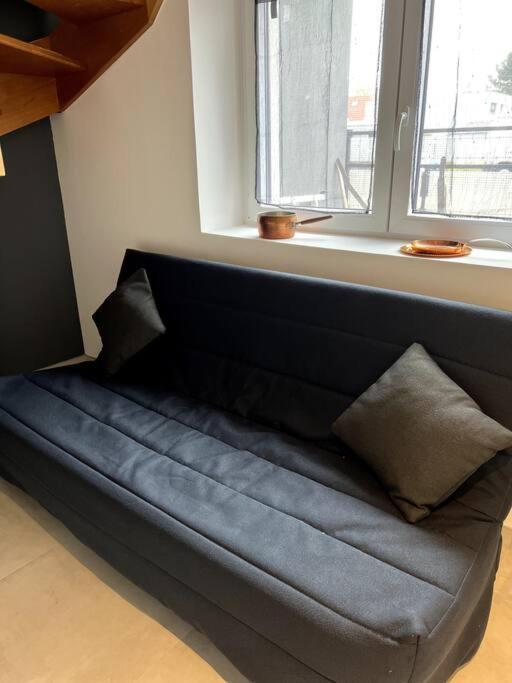 Appartement Duplex Avec Jardin Ingersheim Esterno foto