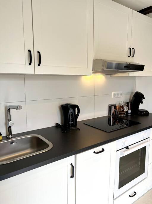 Appartement Duplex Avec Jardin Ingersheim Esterno foto