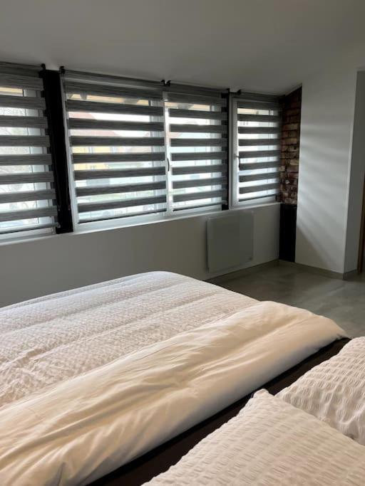 Appartement Duplex Avec Jardin Ingersheim Esterno foto